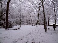 Wirral Snow